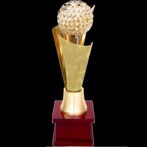 charming diamond trophy